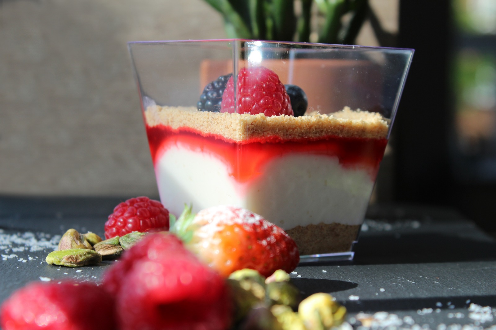 Fruit Cup